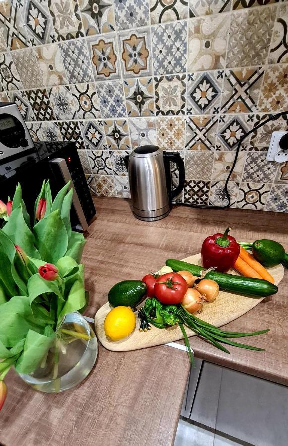 Gawra Gustawa Apartment Ustrzyki Dolne